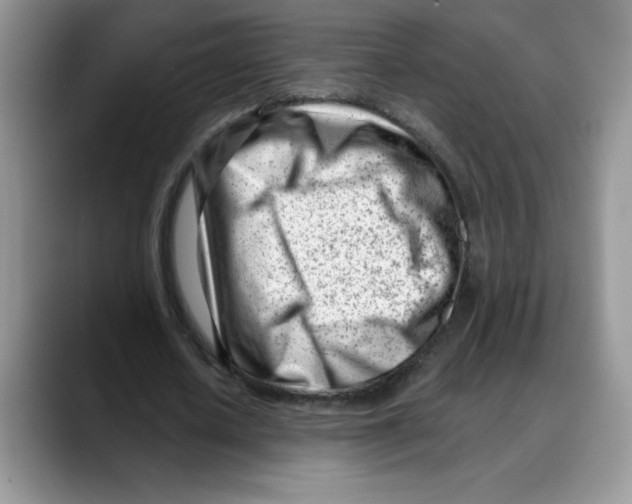 X0000088040626200706081610