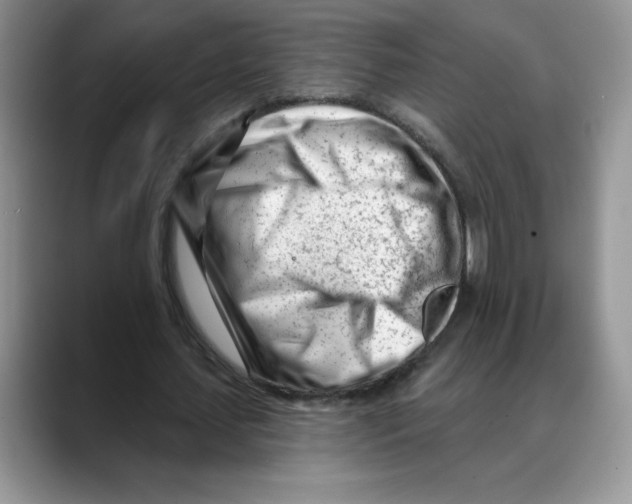 X0000088040627200706081610