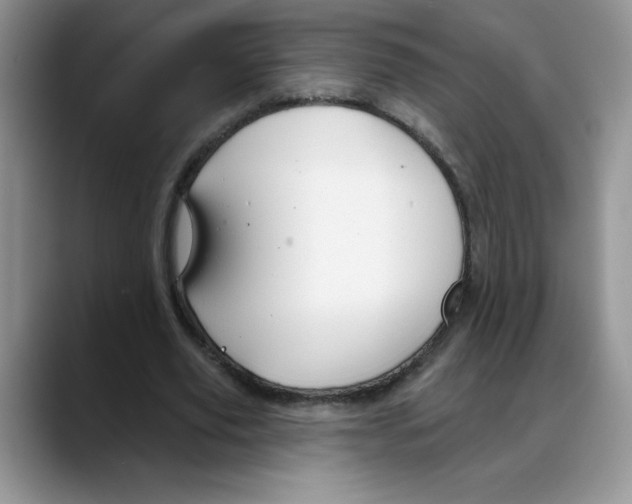 X0000088040629200706081610