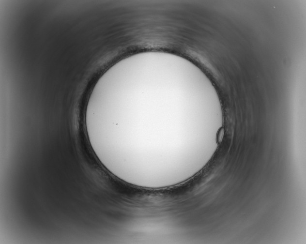 X0000088040631200706081610