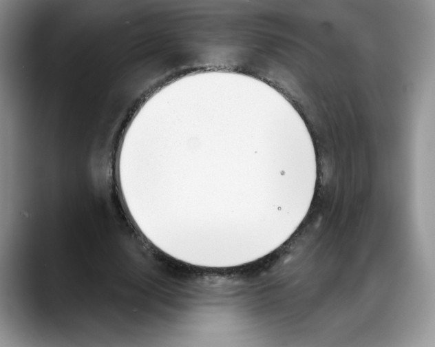 X0000088040632200706081610