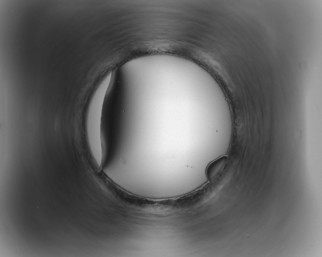 X0000088040633200706081610