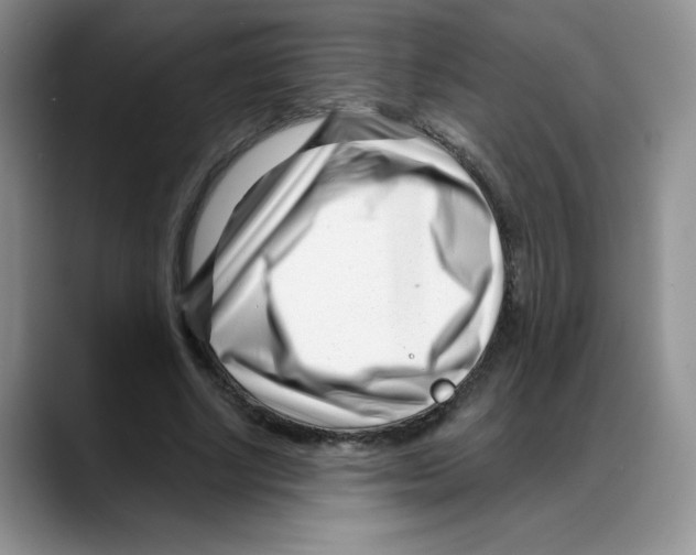 X0000088040634200706081610