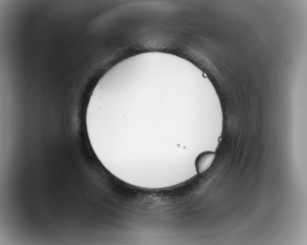 X0000088040635200706081610