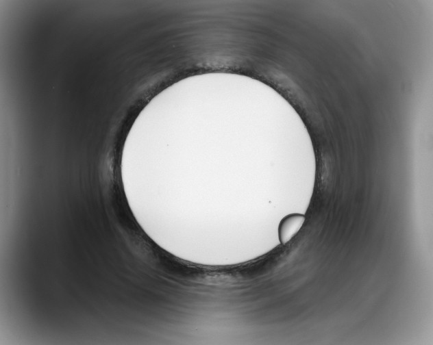 X0000088040636200706081610