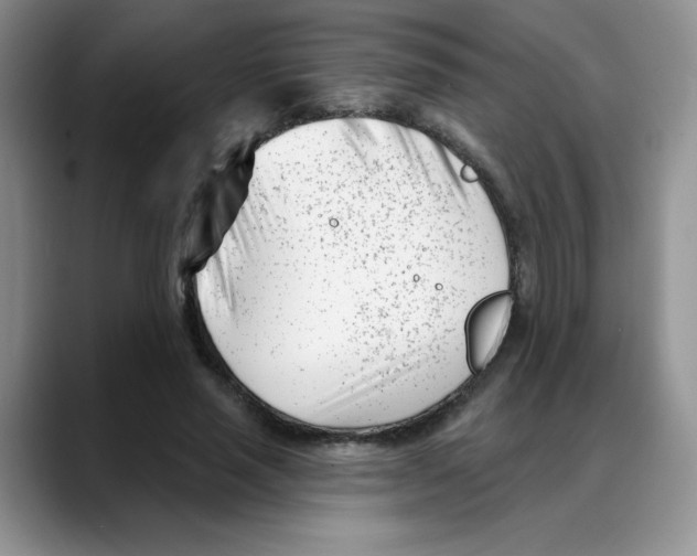 X0000088040637200706081610