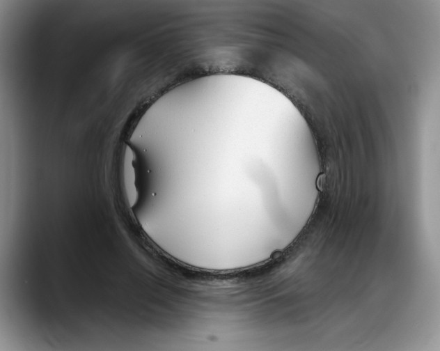 X0000088040638200706081610