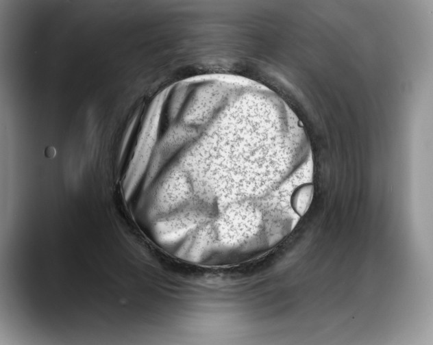 X0000088040641200706081610