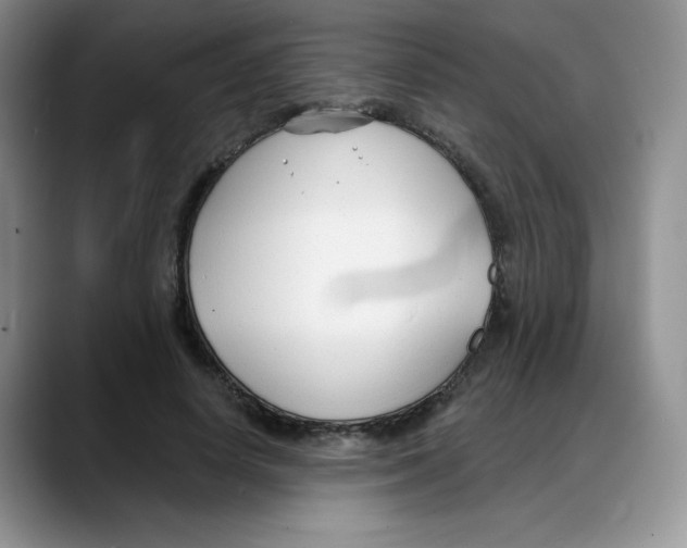 X0000088040642200706081610