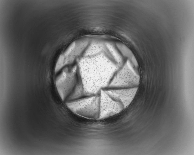 X0000088040643200706081610