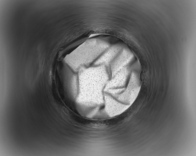 X0000088040644200706081610