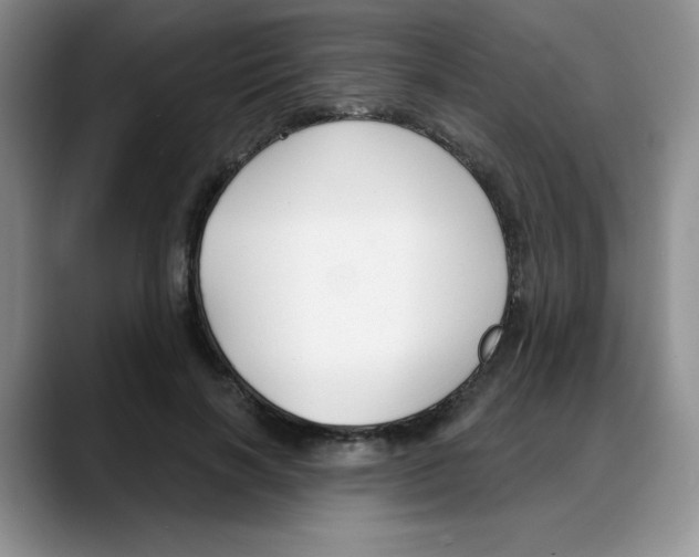 X0000088040646200706081610