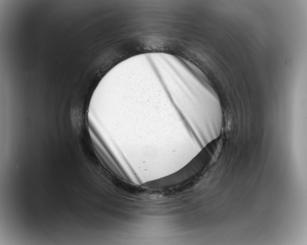 X0000088040648200706081610