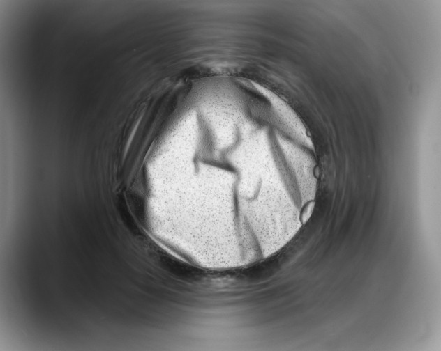 X0000088040650200706081610