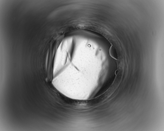 X0000088040651200706081610