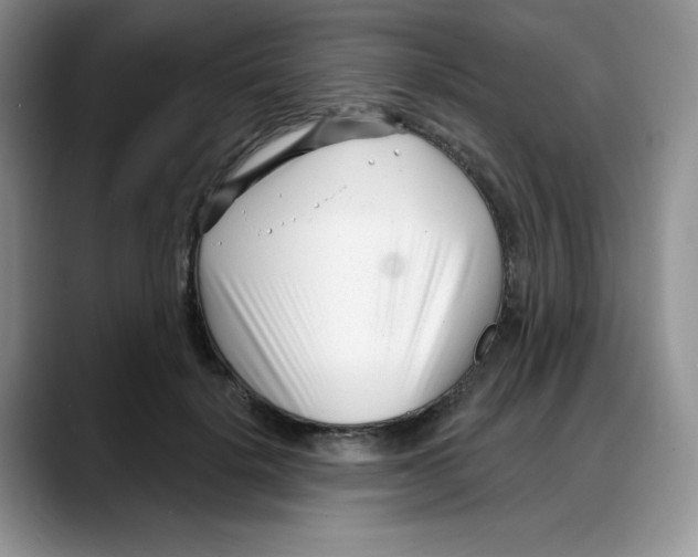 X0000088040652200706081610