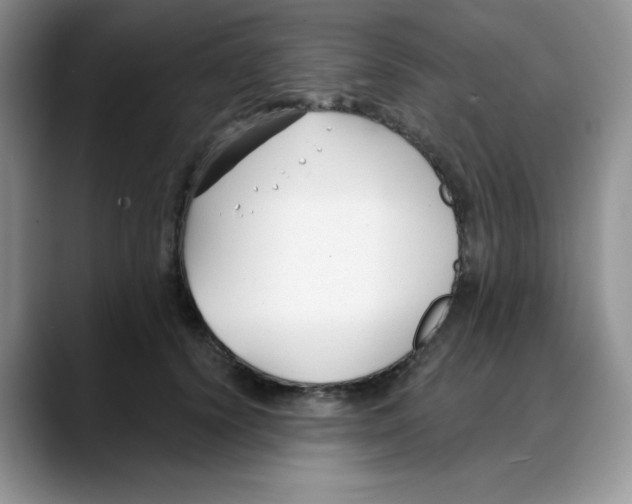 X0000088040656200706081610