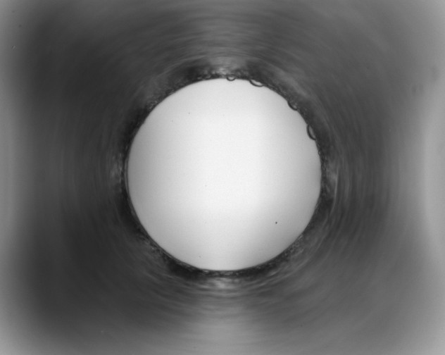 X0000088040657200706081610