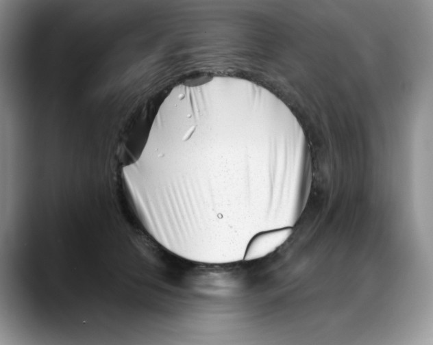 X0000088040658200706081610