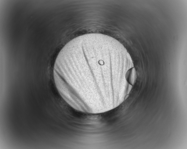 X0000088040659200706081610