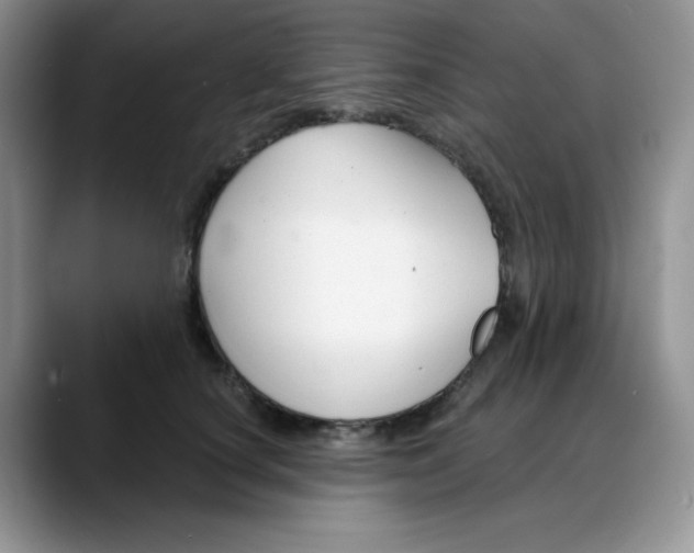 X0000088040660200706081610