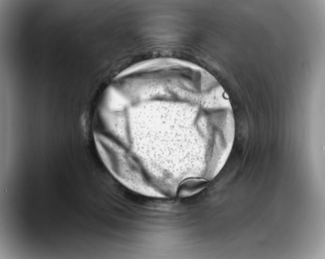 X0000088040661200706081610