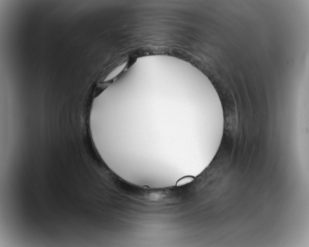 X0000088040662200706081610