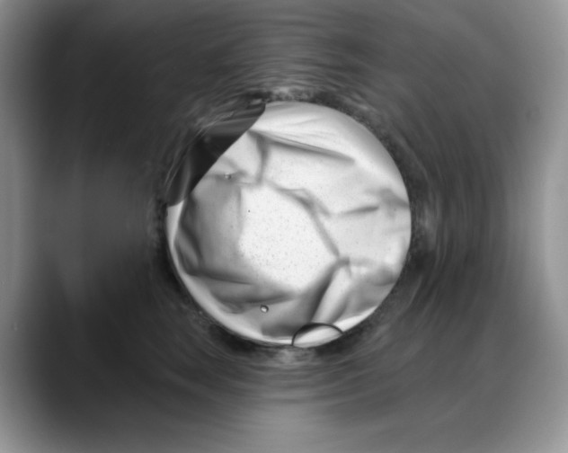 X0000088040663200706081610