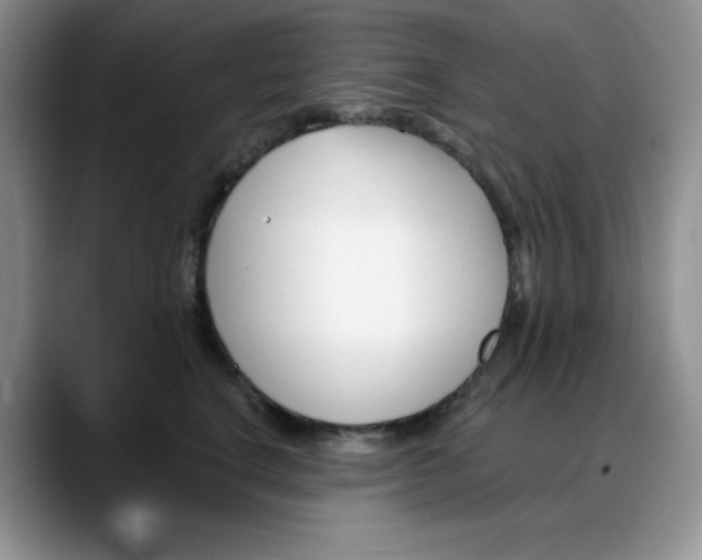 X0000088040664200706081610