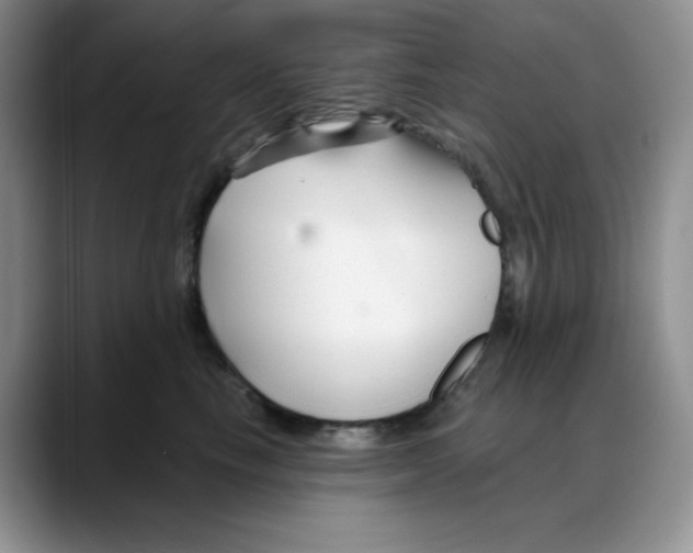 X0000088040665200706081610