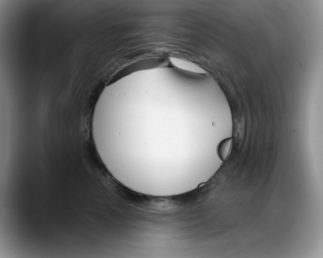 X0000088040666200706081610