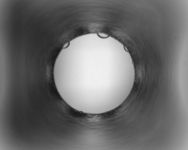 X0000088040667200706081610