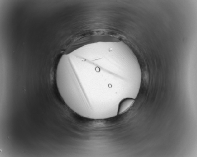 X0000088040668200706081610