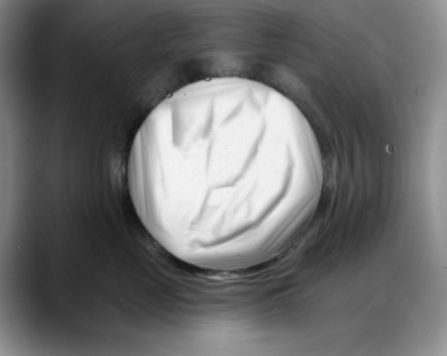 X0000088040669200706081610