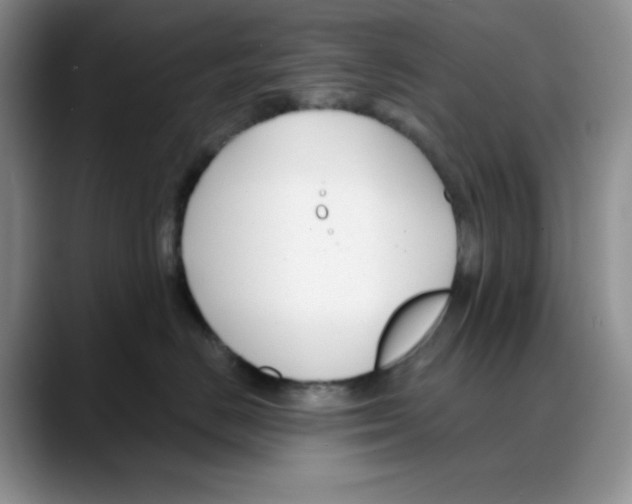 X0000088040670200706081610