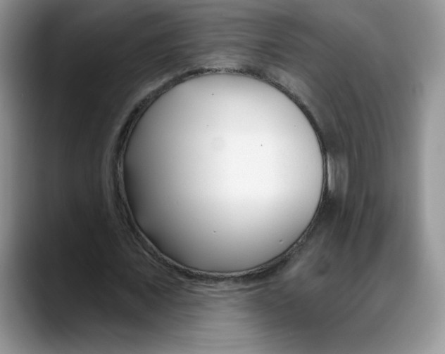 X0000088040675200706081610