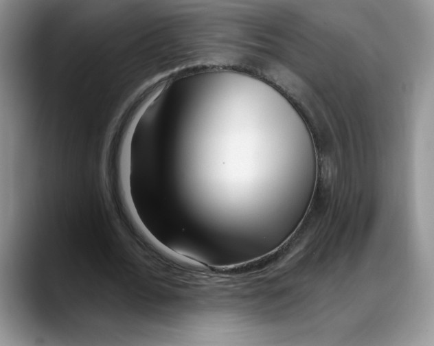 X0000088040676200706081610