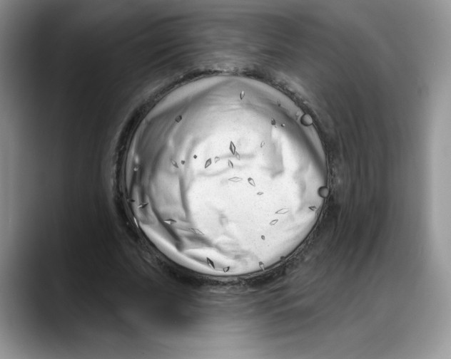 X0000088040679200706081610