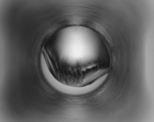 X0000088040681200706081610