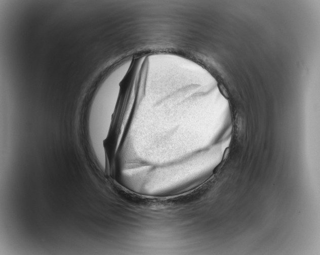 X0000088040684200706081610