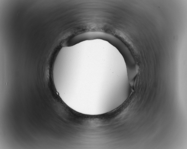 X0000088040685200706081610