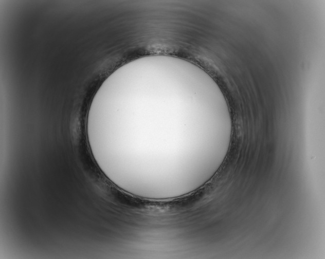 X0000088040690200706081609