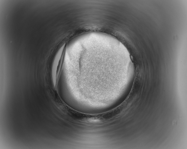 X0000088040692200706081609