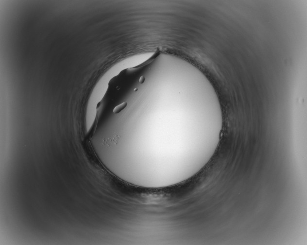 X0000088040693200706081609