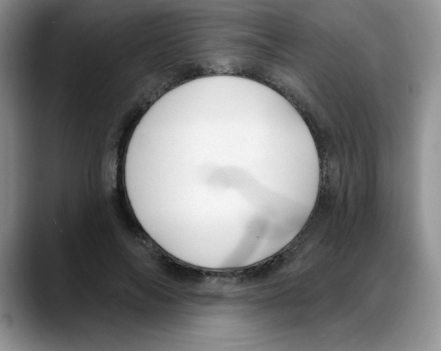 X0000088040694200706081609