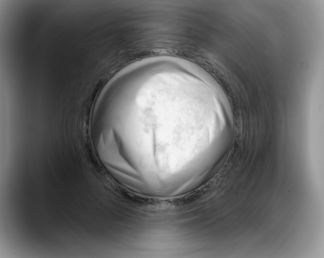 X0000088040696200706081609