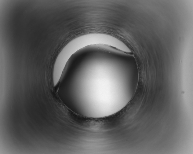 X0000088040697200706081609