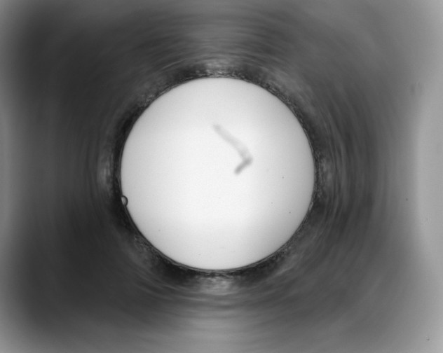 X0000088040698200706081609