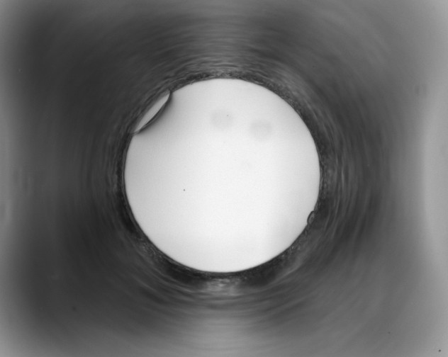 X0000088040700200706081609