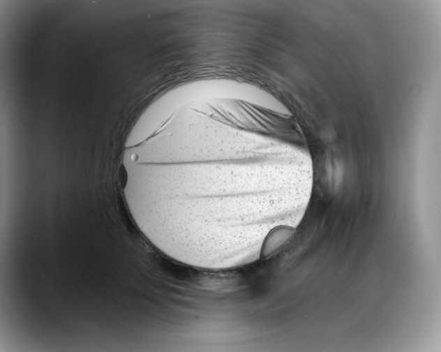 X0000088040707200706081609